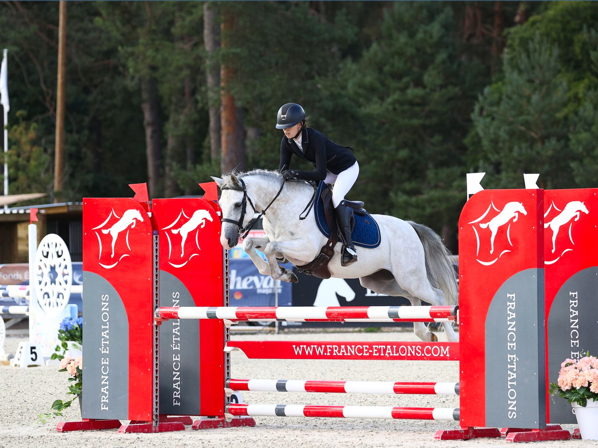 Le poney Kingstown du Hem lors des épreuves CSO du So'pony 2025 à Fontainebleau.