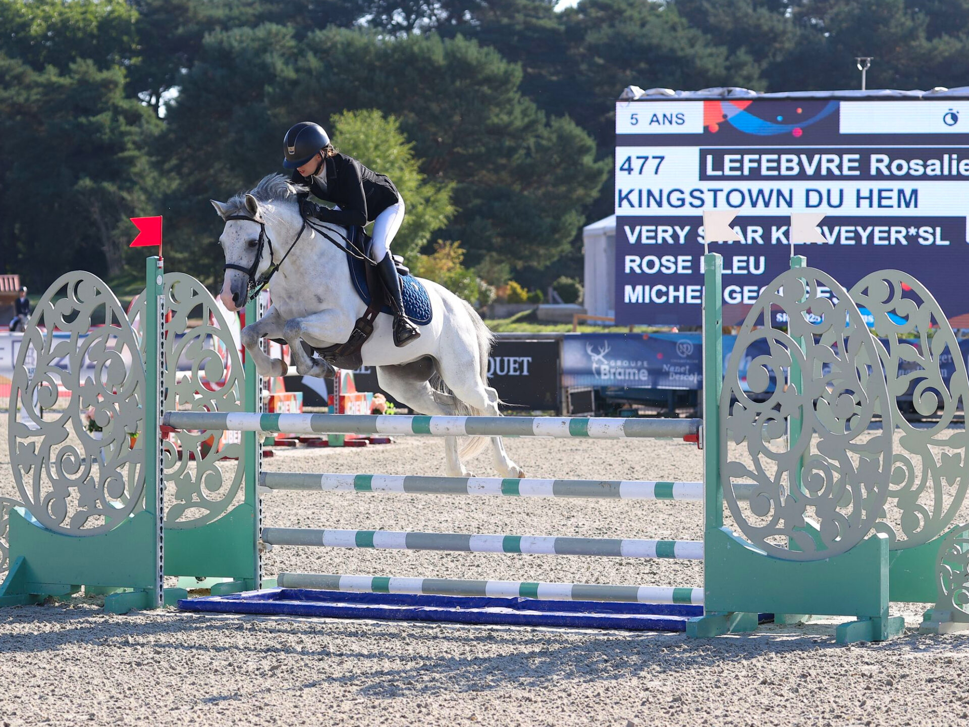 Le poney Kingstown du Hem tente de remporter le titre de Champion au So'pony 2025 à Fontainebleau.