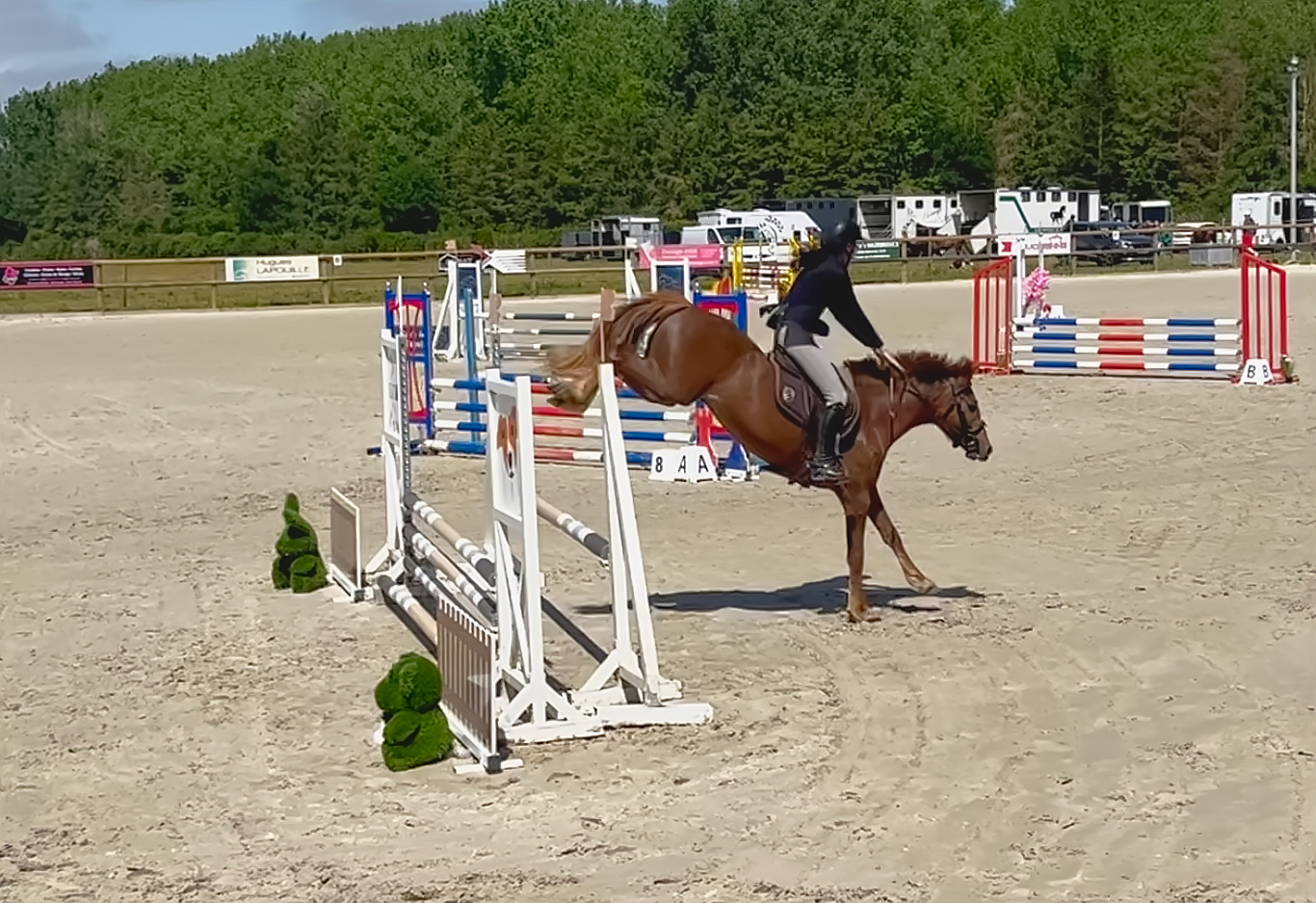 Le poney Lucky Star du Hem, monté par Rosalie Lefebvre, dans la carrière des Écuries de Laventie (Hauts-de-France).