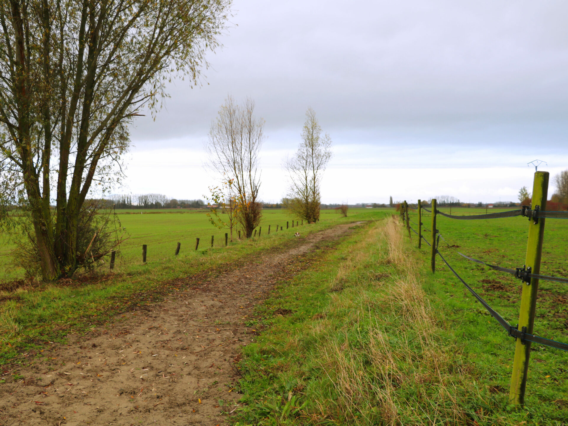 La piste de galop des Écuries de Laventie (Hauts-de-France).