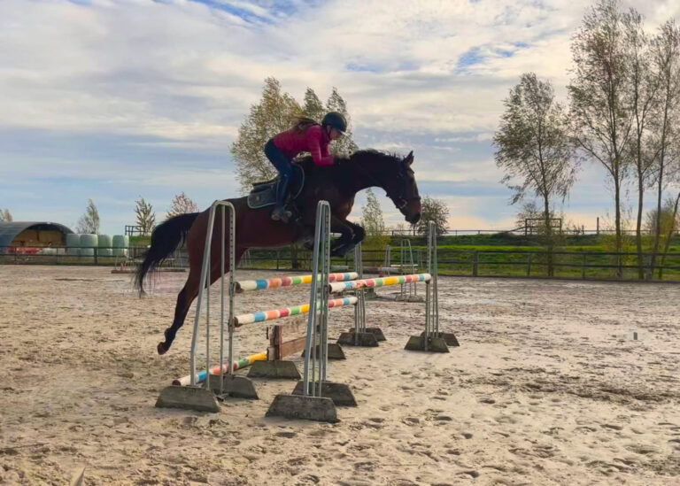 Rosso Antico saute un obstacle dans la carrière des Écuries de Laventie.