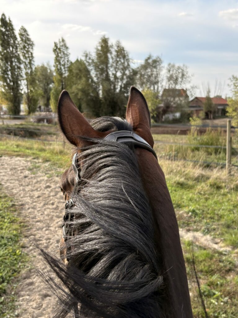 Photo de Lou-Anne Laubu